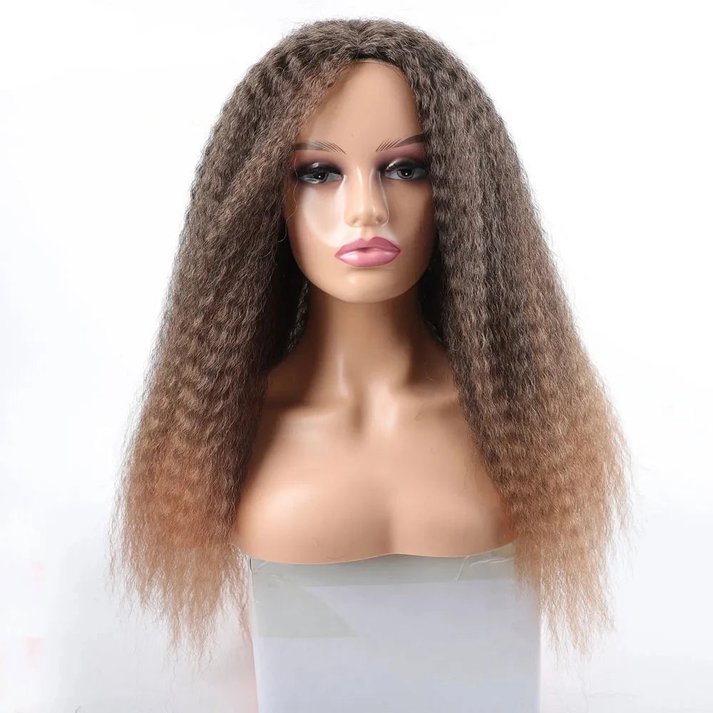 Afro Kinky Curly Hair Wigs