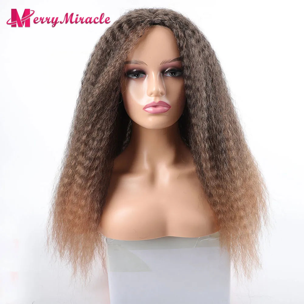 Afro Kinky Curly Hair Wigs