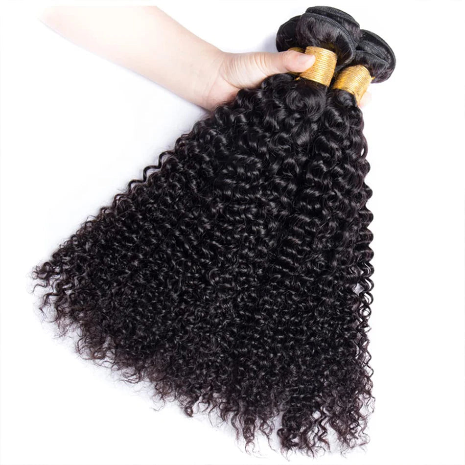 Kinky Curly Human Hair Extensions