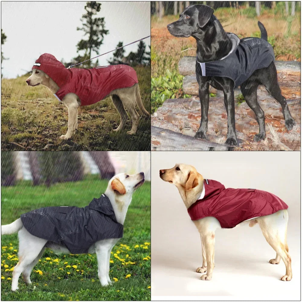 Dog Raincoat Hoodie