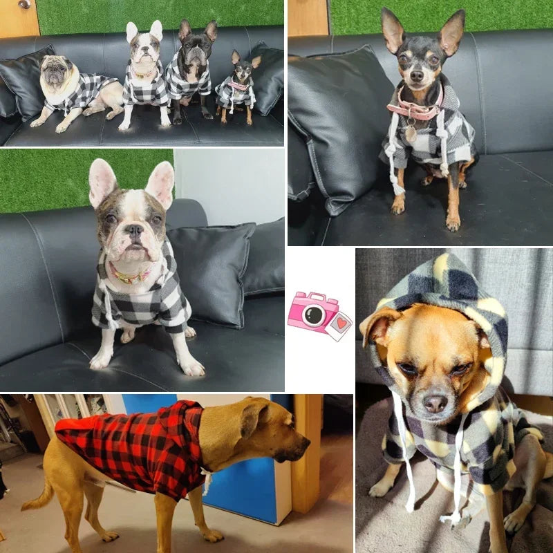 Soft Wool Dog Hoodies