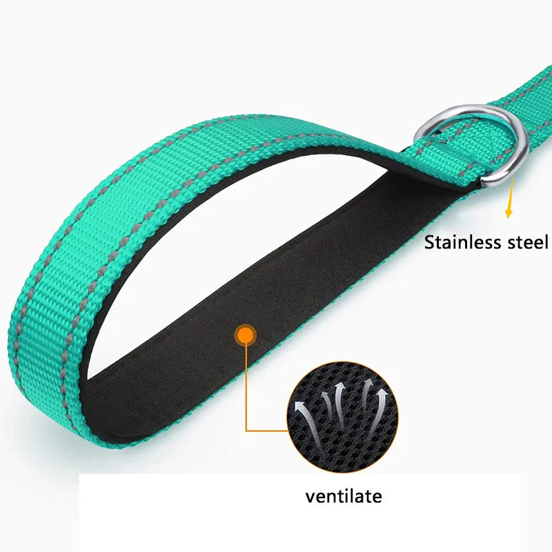 Dog Training Leash