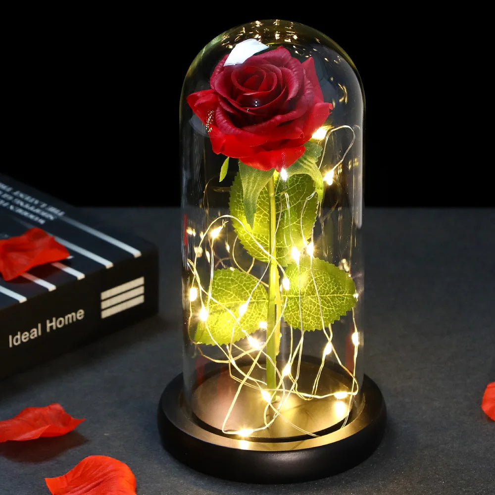 Enchanted Rose with Dome