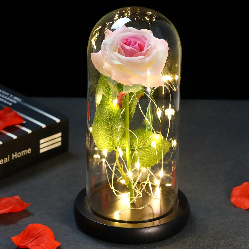 Enchanted Rose with Dome