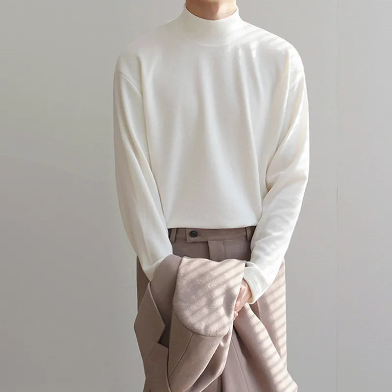 Solid Casual Plush Turtleneck