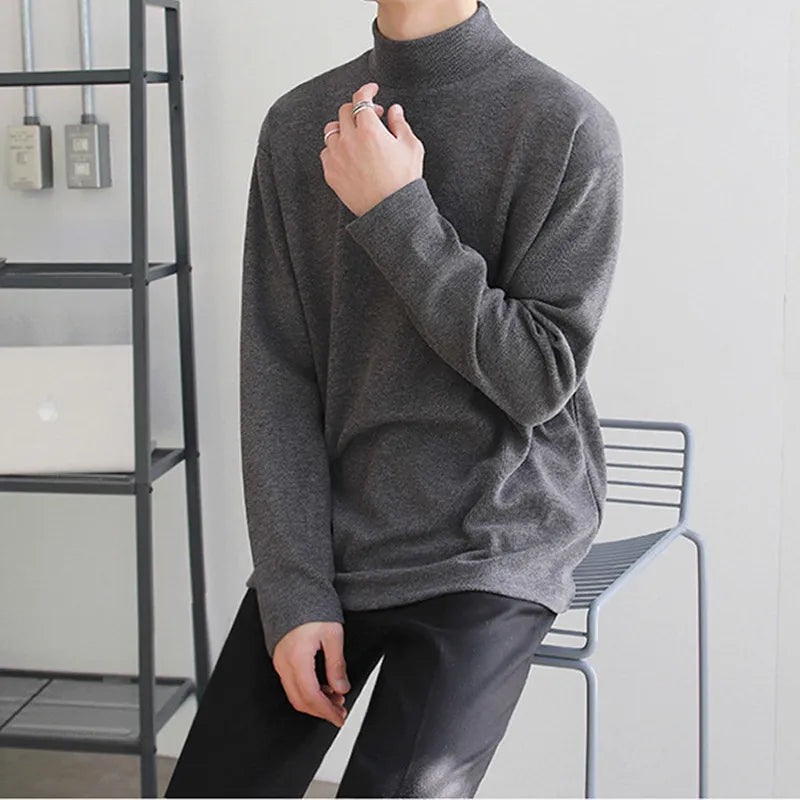 Solid Casual Plush Turtleneck