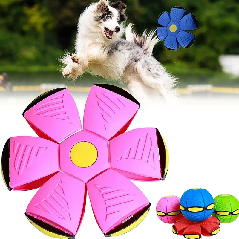 Flying UFO Saucer Ball Dog Toy