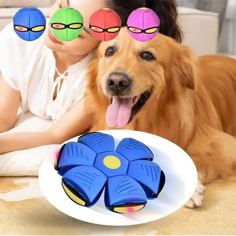 Flying UFO Saucer Ball Dog Toy