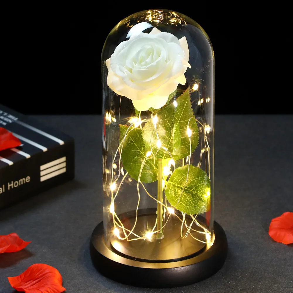 Enchanted Rose with Dome