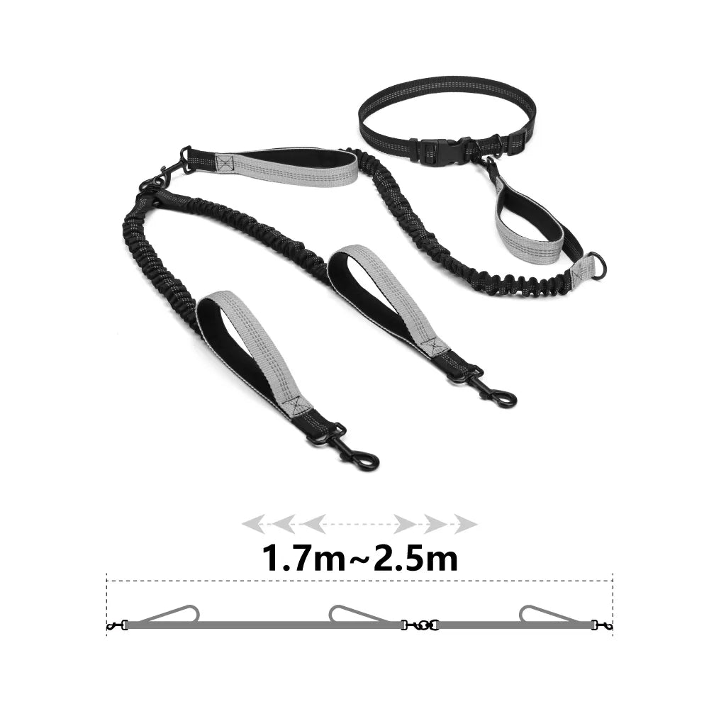 Retractable Hands Free Dog Leash