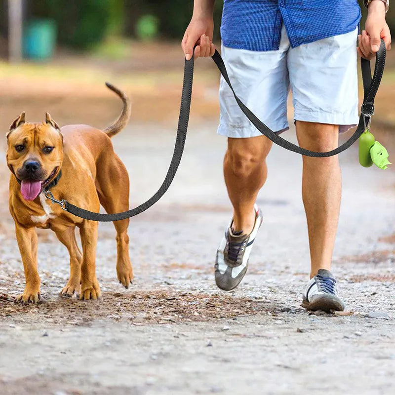 Dog Training Leash