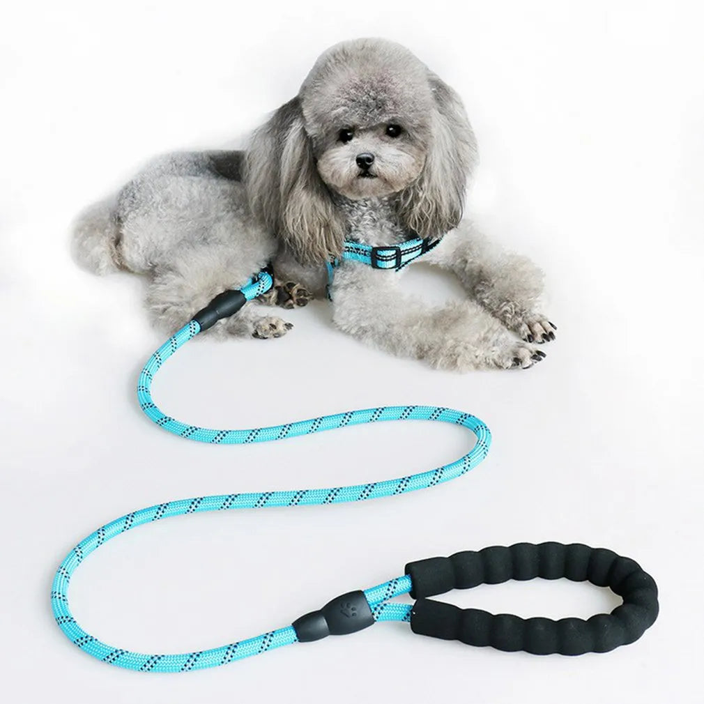 Nylon Dog Harness Leash