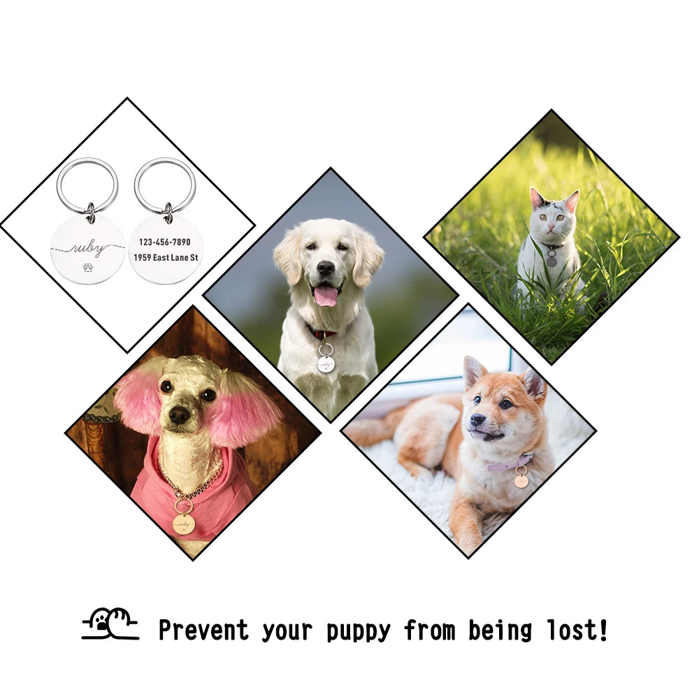 Personalized Pet Id Tags