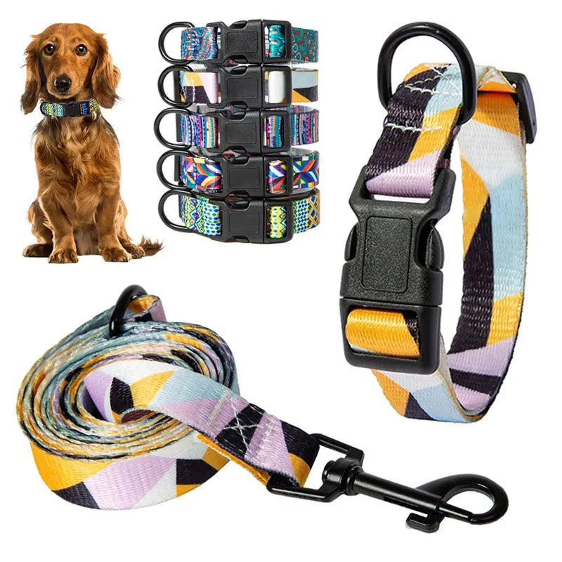 Dog Collar and Leash Set